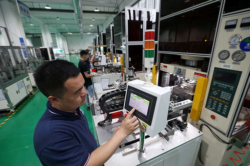 安徽合肥 培育科技型中小企業(yè)，以計(jì)算機(jī)軟硬件技術(shù)開發(fā)推動(dòng)高質(zhì)量發(fā)展
